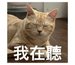 736766305