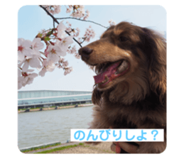 736794147