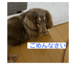 736794152