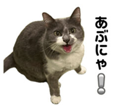 736794197