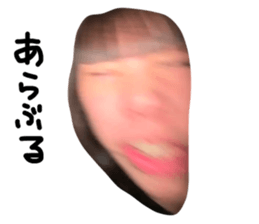 736799094