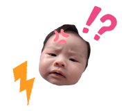 736813919