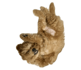 736845645