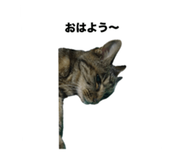 736857941