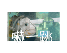 736871066