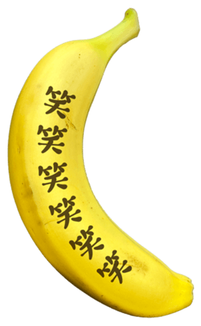 736887448