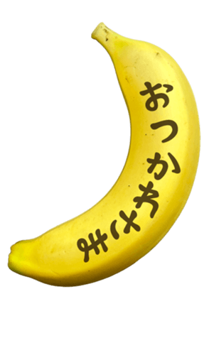 736887455