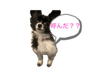 736914393