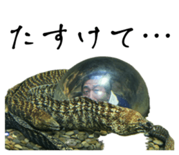 736917792