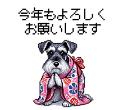 736941037