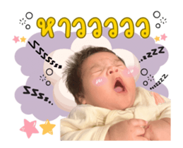 736944442