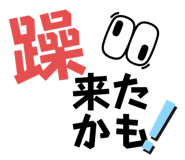 736980217