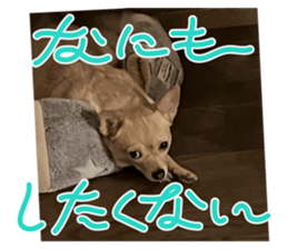 736987179