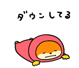 73698876