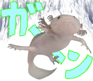 736995466