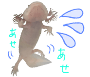 736995469
