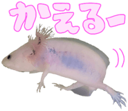 736995471