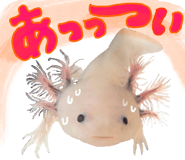736995474