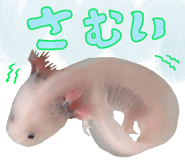 736995475