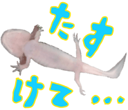 736995476