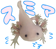 736995479