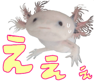 736995481