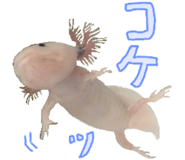 736995483