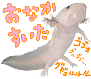 736995486