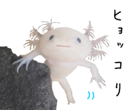 736995489