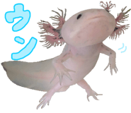 736995492