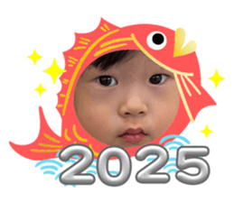736998087