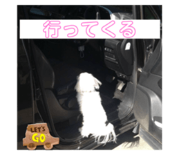 737019734
