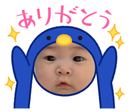737032083