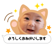 737032096