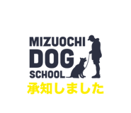 737035971
