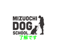 737035974