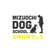 737035975