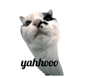 737050697