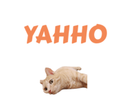 737050698