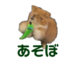 737109180