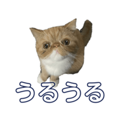 737109183
