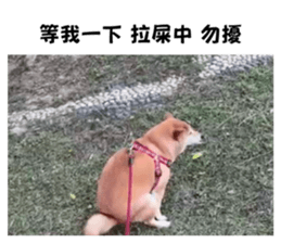 737119780