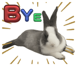 737127957