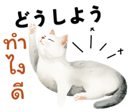 737137732