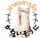 737137737