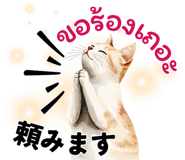 737137759