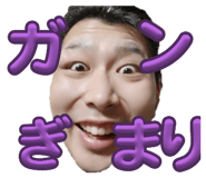 737137954