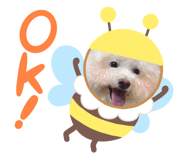 737138319