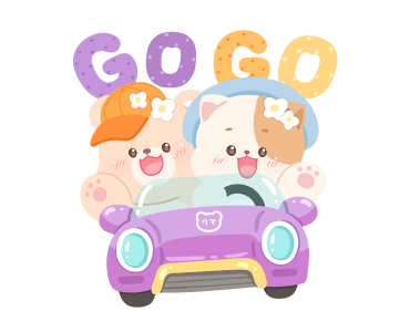 ลายที่ 17