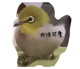 737149035